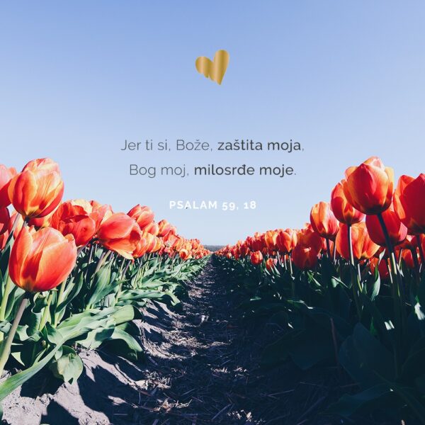 angellum-citat.jpg